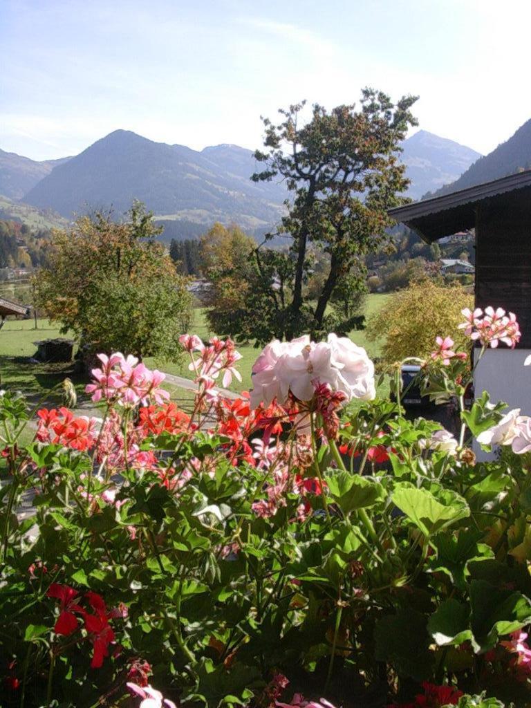 키츠부헬 Malernhof B&B 외부 사진